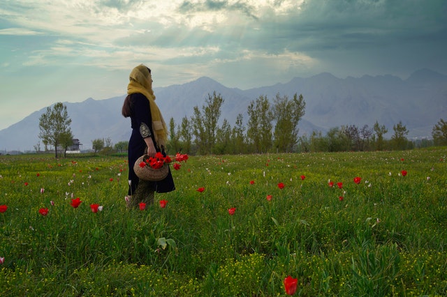Glimpse of Kashmir